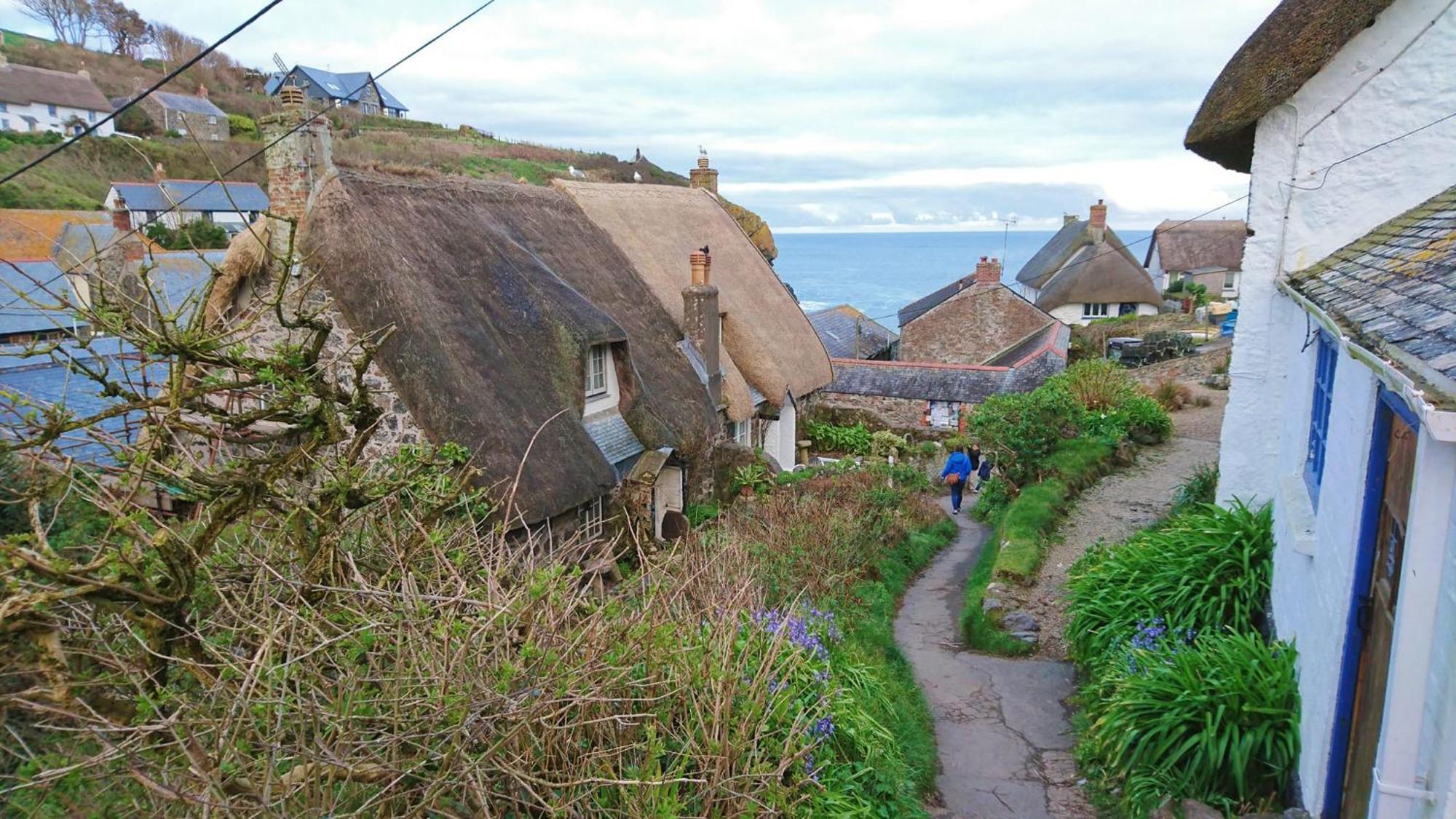Cadgwith Cove Inn Exterior foto